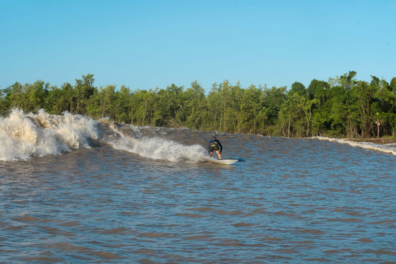 Surf Pororoca Wave